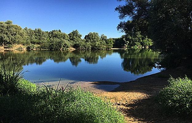 Bourgogne, nature et calme au bords de l'eau