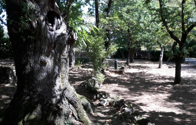 Camping à vendre Sud Ardèche